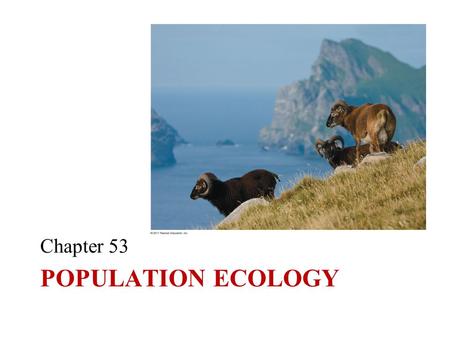 POPULATION ECOLOGY Chapter 53. Population = group of individuals of a single species living in same general area Density: # individuals / area Dispersion: