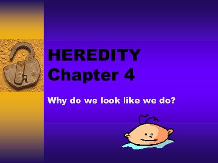 HEREDITY Chapter 4 Why do we look like we do?. 1.Describe your understanding of where genes are located and how they are passed on to offspring. 2.Explain.