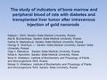 The study of indicators of bone marrow and peripheral blood of rats with diabetes and transplanted liver tumor after intravenous injection of gold nanorods.
