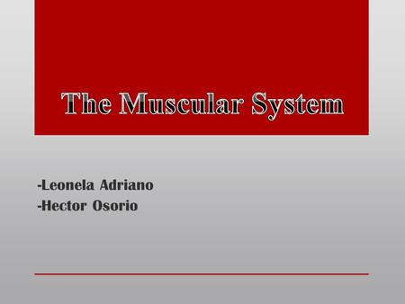 -Leonela Adriano -Hector Osorio. Types of Muscles There are about 600 muscles in your body. There are about 600 muscles in your body. Some of your body’s.