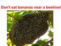 Don't eat bananas near a beehive!. HClNaOH Sodium hydroxide + Hydrochloric Acid Sodium Chloride+Water Simple Neutralisation Reaction Acid + Base (inorganic.