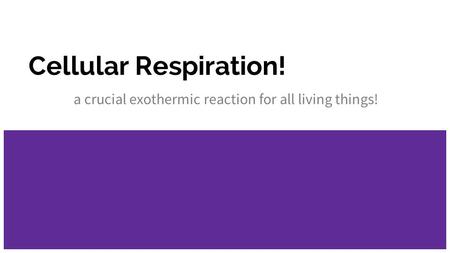 Cellular Respiration! a crucial exothermic reaction for all living things!