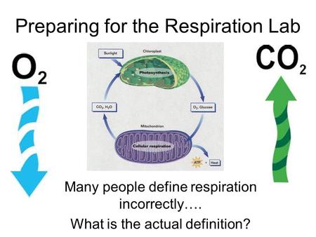 Preparing for the Respiration Lab Many people define respiration incorrectly…. What is the actual definition?