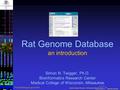 PGA Workshop August 2003 Rat Genome Database an introduction Simon N. Twigger, Ph.D. Bioinformatics Research Center Medical College of Wisconsin, Milwaukee.