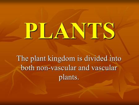 PLANTS The plant kingdom is divided into both non-vascular and vascular plants.