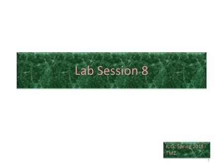 Lab Session 8 IUG, Spring 2015 TMZ IUG, Spring 2015 TMZ 1.