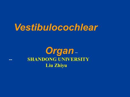 Vestibulocochlear Organ – -- SHANDONG UNIVERSITY Liu Zhiyu.