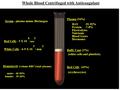 Whole Blood Centrifuged with Anticoagulant Plasma Buffy Coat (54%) (1%) Red Cells(45%) H2OH2O Protein Electrolytes Nutrients Blood Gases Hormones -91-92%