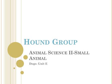 A NIMAL S CIENCE II-S MALL A NIMAL Dogs- Unit E H OUND G ROUP.