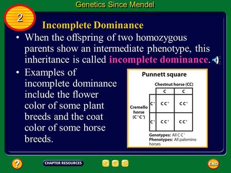 Incomplete Dominance When the offspring of two homozygous parents show an intermediate phenotype, this inheritance is called incomplete dominance. 2 2.