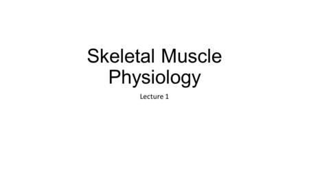 Skeletal Muscle Physiology Lecture 1. Skeletal Muscle Characteristics and Functions Characteristics: Multinucleated (peripheral nuclei) Striated Voluntary.