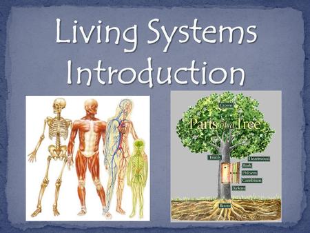 system  Every living thing has parts that work together to create a whole – This is called a system. body  Your body works because it runs on an organized.