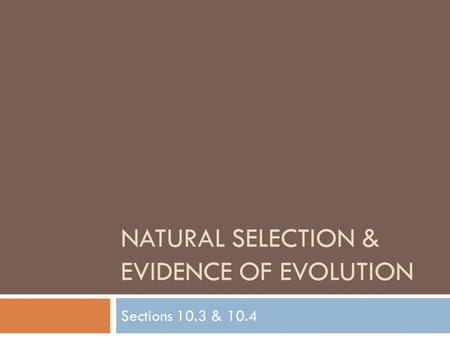 NATURAL SELECTION & EVIDENCE OF EVOLUTION Sections 10.3 & 10.4.