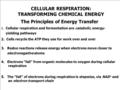 CELLULAR RESPIRATION: TRANSFORMING CHEMICAL ENERGY The Principles of Energy Transfer 1. Cellular respiration and fermentation are catabolic, energy- yielding.