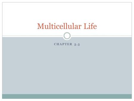 CHAPTER 5.5 Multicellular Life. Interactions All multicellular organisms are made of different kinds of cells. All types of cells need to fit and work.