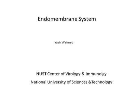 Endomembrane System Yasir Waheed NUST Center of Virology & Immunolgy National University of Sciences &Technology.