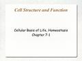 Cell Structure and Function Cellular Basis of Life, Homeostasis Chapter 7-1.
