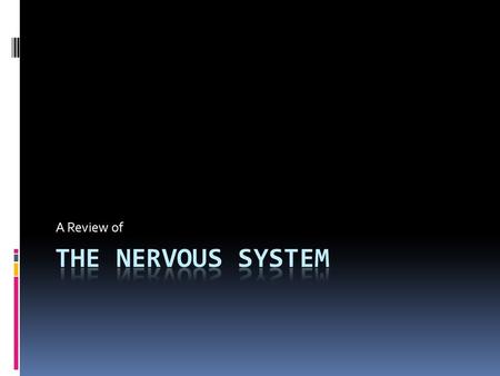 A Review of. The Nervous System  The basic unit of the nervous system is called…
