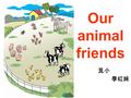 Our animal friends 觅小 季红妹 Name ： Tracy Like ： animals and animals toys Have ： an elephant, a giraffe and a bear Pet ： some goldfish.