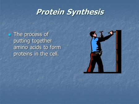 Protein Synthesis The process of putting together amino acids to form proteins in the cell. The process of putting together amino acids to form proteins.
