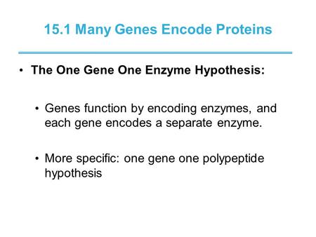 15.1 Many Genes Encode Proteins The One Gene One Enzyme Hypothesis: Genes function by encoding enzymes, and each gene encodes a separate enzyme. More specific: