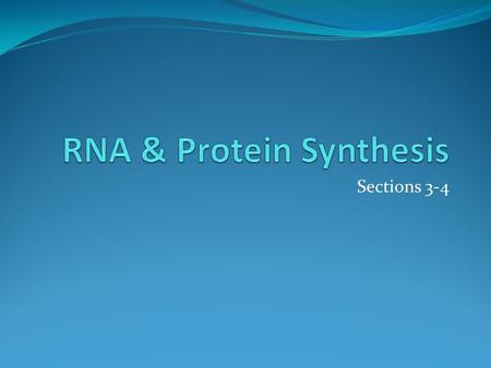 Sections 3-4. Structure of RNA Made of nuleotides Three differences between DNA & RNA Sugar DNA = deoxyribose sugar RNA = ribose sugar RNA is single stranded.