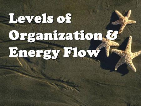 Levels of Organization & Energy Flow. I.The Biosphere Biosphere 2 Biosphere 2 I.The Biosphere Biosphere 2 Biosphere 2 Oikos = house this is the root word.