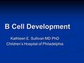 B Cell Development Kathleen E. Sullivan MD PhD Children’s Hospital of Philadelphia.
