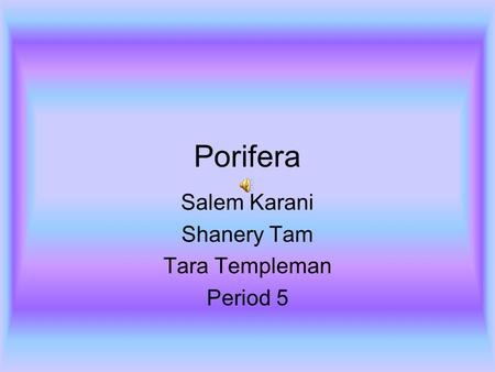 Porifera Salem Karani Shanery Tam Tara Templeman Period 5.
