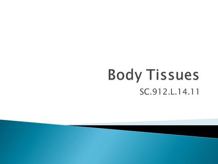 SC.912.L.14.11.  Why is the body made of different tissues?  What is the advantage/contribution of each type of tissue?