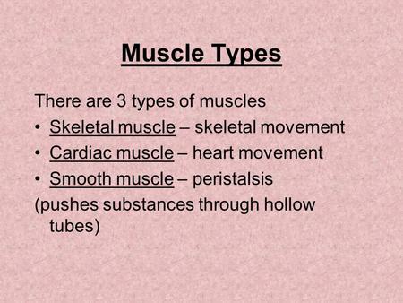 Muscle Types There are 3 types of muscles Skeletal muscle – skeletal movement Cardiac muscle – heart movement Smooth muscle – peristalsis (pushes substances.