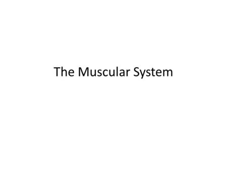 The Muscular System. Muscles Muscles are organs that relax and contract, and provides the force to move your body parts – Voluntary muscles  muscles.