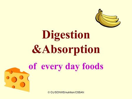 © CU/SONMS/nutrition/CSSAN Digestion &Absorption of every day foods.