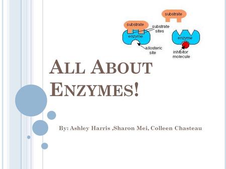 A LL A BOUT E NZYMES ! By: Ashley Harris,Sharon Mei, Colleen Chasteau.