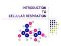 INTRODUCTION TO CELLULAR RESPIRATION. …Recall First Law of Thermodynamics: Energy cannot be created or destroyed; it must be transferred from one form.
