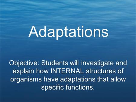 Adaptations Objective: Students will investigate and explain how INTERNAL structures of organisms have adaptations that allow specific functions.