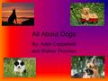 All About Dogs By: Aden Cappelletti and Walker Thornton.