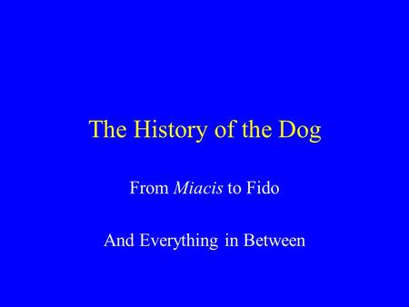 The History of the Dog From Miacis to Fido And Everything in Between.