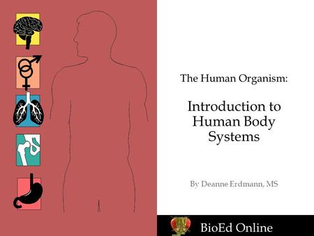 BioEd Online The Human Organism: Introduction to Human Body Systems By Deanne Erdmann, MS BioEd Online.