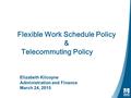 Flexible Work Schedule Policy & Telecommuting Policy Work Schedule Elizabeth Kilcoyne Administration and Finance March 24, 2015.