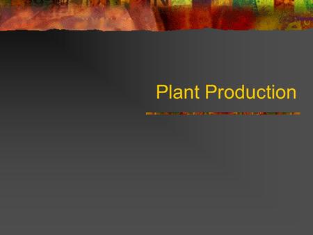 Plant Production. Conditions for plant growth All plants need water, nutrients & oxygen to grow Normally plants can spread their roots to take these in.