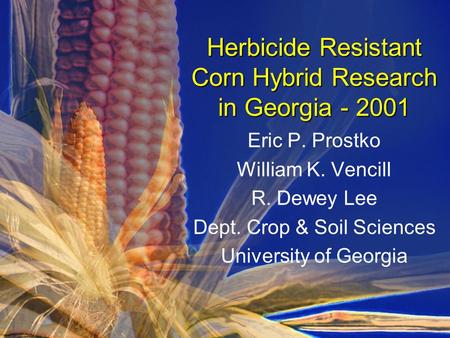 Herbicide Resistant Corn Hybrid Research in Georgia - 2001 Eric P. Prostko William K. Vencill R. Dewey Lee Dept. Crop & Soil Sciences University of Georgia.