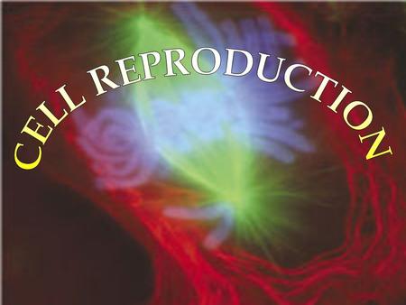 Organisms reproduce like offspring. There are two types of reproduction: ASEXUAL REPRODUCTION - producing offspring from only 1 parent offspring look.