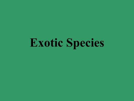 Exotic Species. What is an exotic species? –a species living outside its native distributional range, which has arrived there by human activity, either.