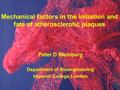 Mechanical factors in the initiation and fate of atherosclerotic plaques Peter D Weinberg Department of Bioengineering Imperial College London.