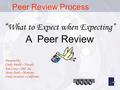 Peer Review Process Presented by: Cindy Arnold – Nevada Ken Carey – IRP, Inc. Marie Stark – Montana Cindy Swanson – California “ What to Expect when Expecting”