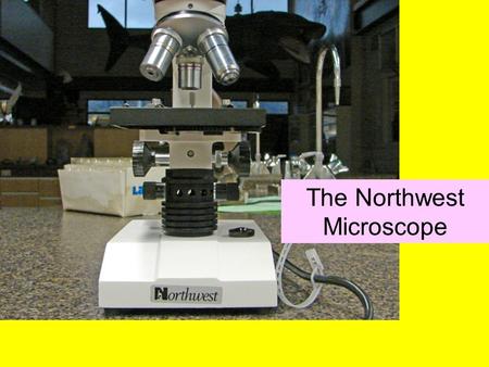 The Northwest Microscope. The Ocular Lens Ocular Magnification = ___ X.
