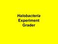 Halobacteria Experiment Grader. Title (1 point): Does the Experiment start with a title that appropriately describes what the experiment is about? (Does.