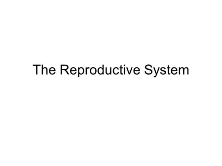 The Reproductive System. Gonads—primary sex organs –Testes in males –Ovaries in females Gonads produce gametes (sex cells) and secrete hormones –Sperm—male.