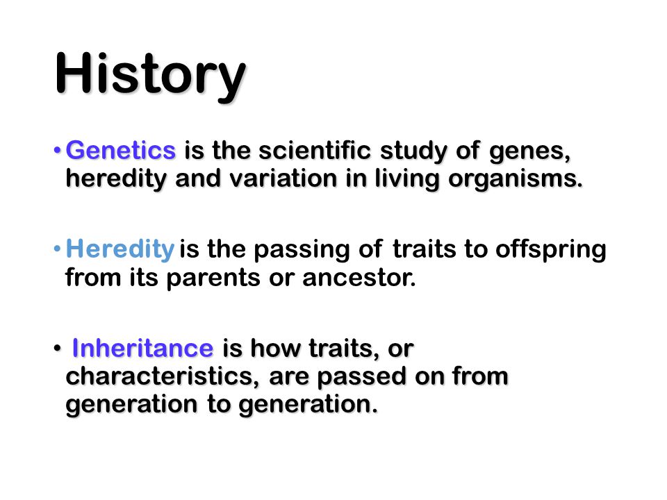 download the possibility of metaphysics substance identity and time